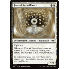 Fear of Surveillance