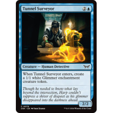 Tunnel Surveyor